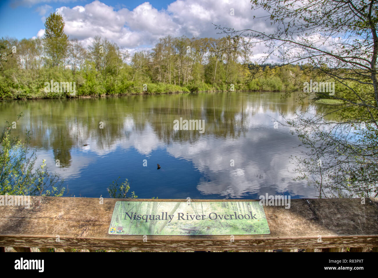 New Scenic 5 posti si affacciano del Fiume Nisqually dalla sua west bank. Il fiume Nisqually fluisce nel Puget Sound, e la casa di salmone, le guarnizioni e i leoni di mare. Foto Stock