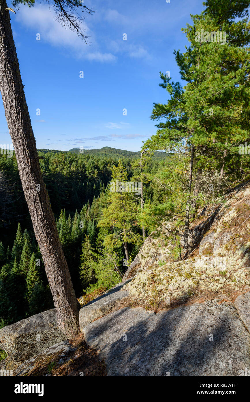 Vista da due fiumi loop trail, Algonquin Provincial Park, Ontario, Canada Foto Stock