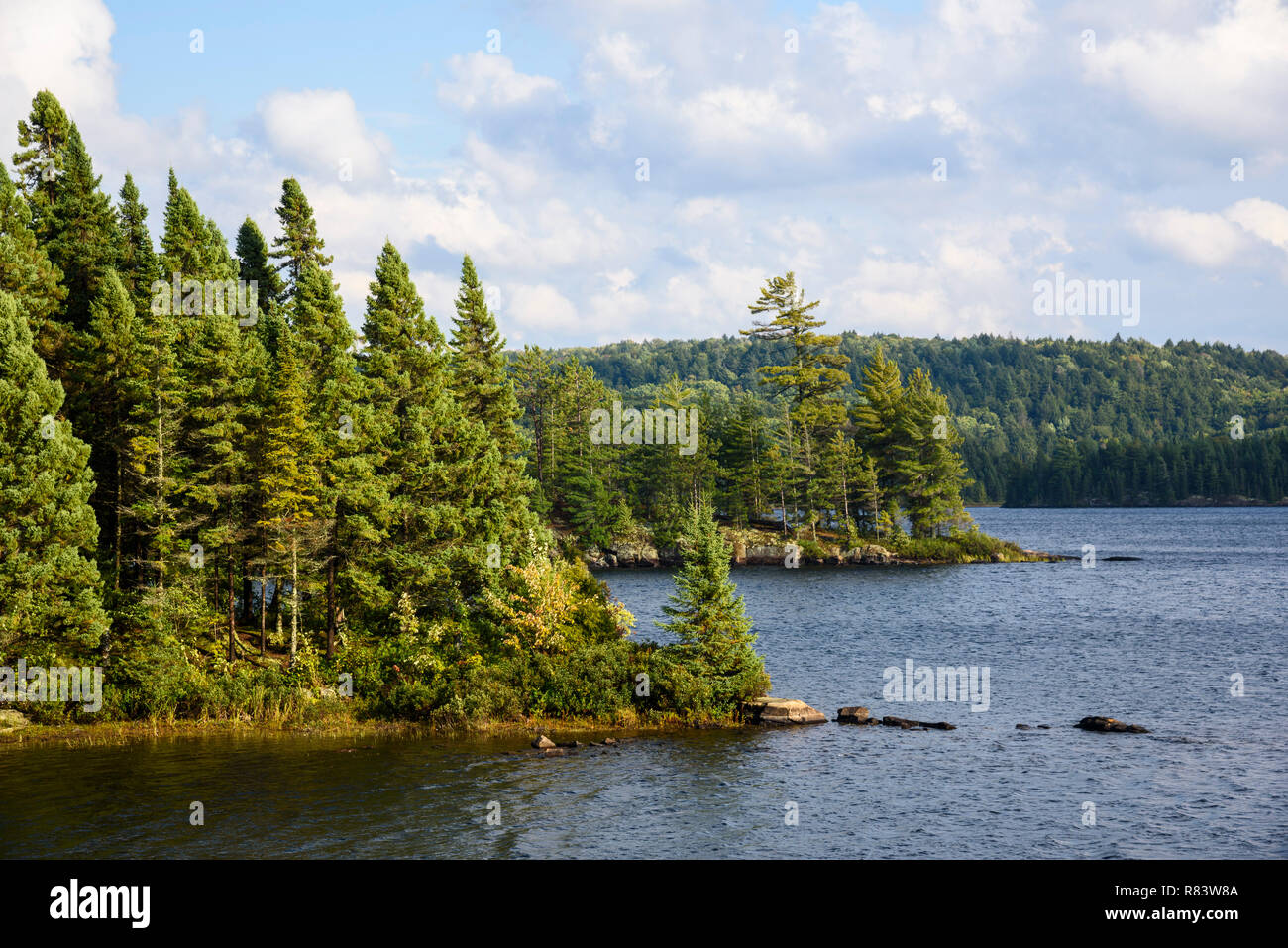 Provocando il lago, Highland Backpacking Trail, Algonquin Provincial Park, Ontario, Canada Foto Stock