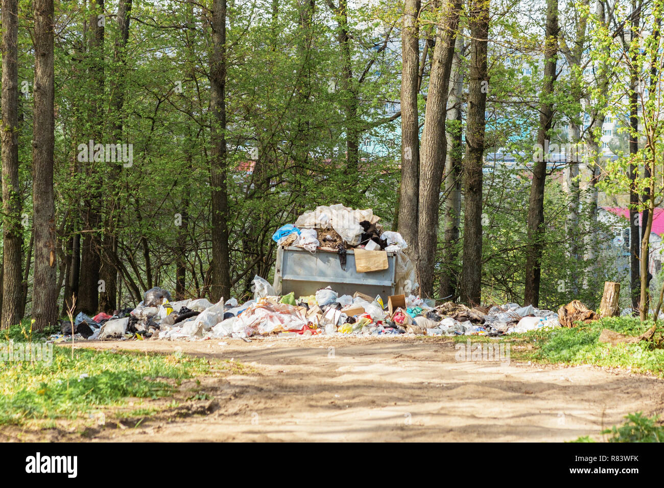 Discarica di rifiuti nella foresta. L'inquinamento della natura. Foto Stock