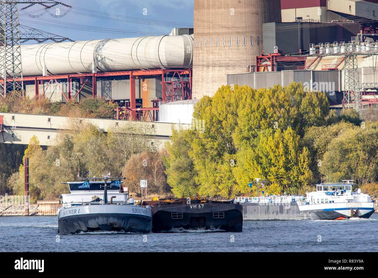 Reno vicino Voerde, Basso Reno, estrema acqua bassa, livello del Reno a 95 cm, assolutamente più bassa registrata a livello dell'acqua, dopo la lunga siccità cade Reno sh Foto Stock