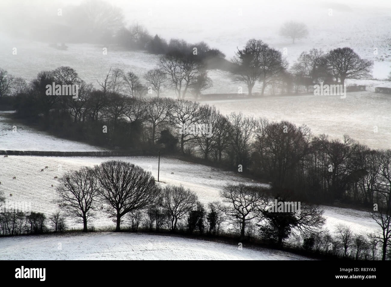 Guardando verso il basso sulla coperta di neve inglese farmland. Con alberi stagliano su un freddo, inverni, nebbioso giorno. Foto Stock