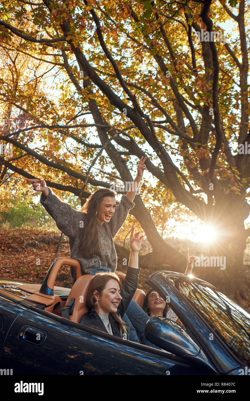 Ritratto di tre piuttosto giovani donne in cabriolet Foto Stock