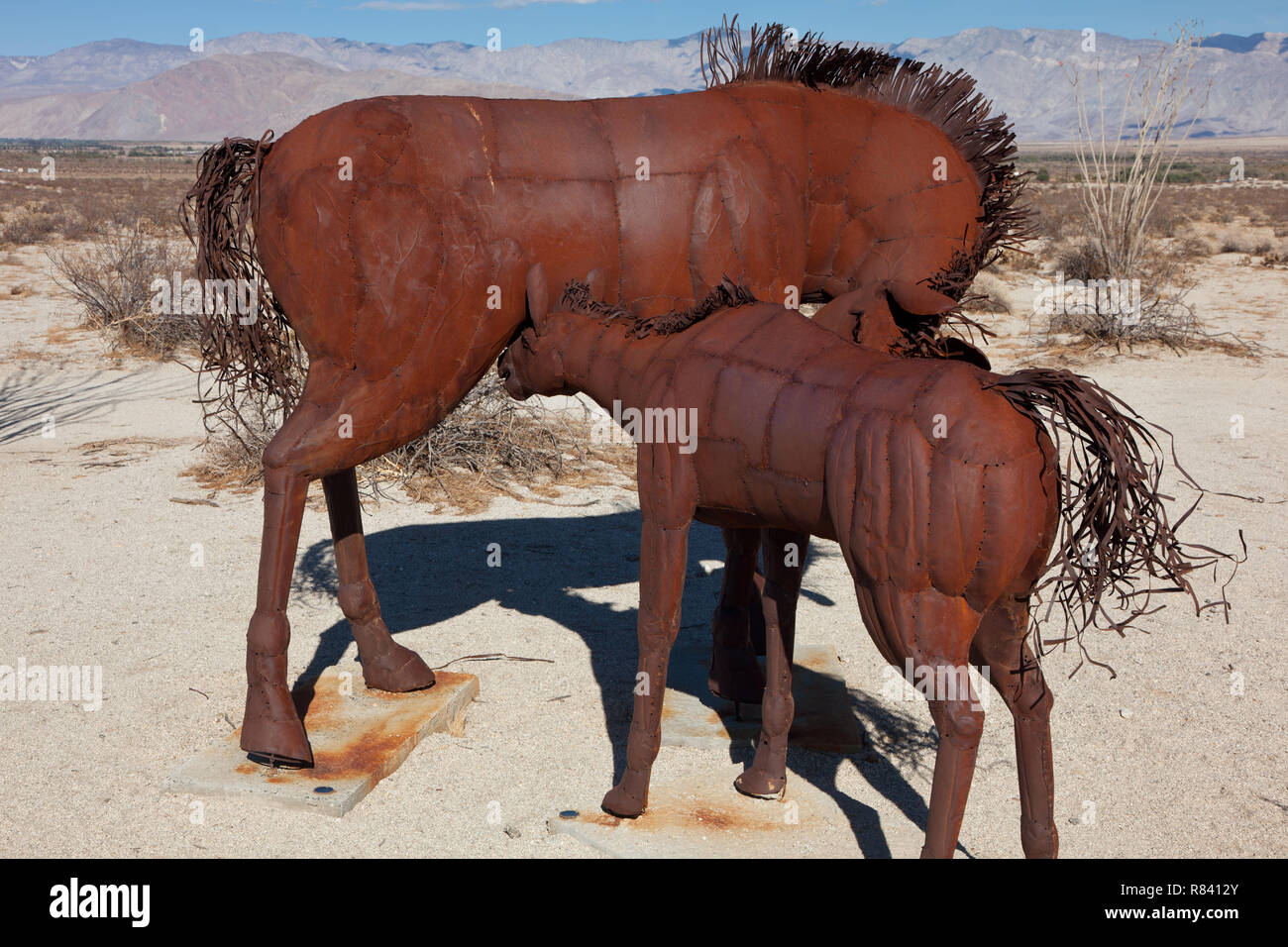 Cavallo di metallo sculture di Ricardo Breceda in prati Galleta in Borrego Springs, CA Foto Stock