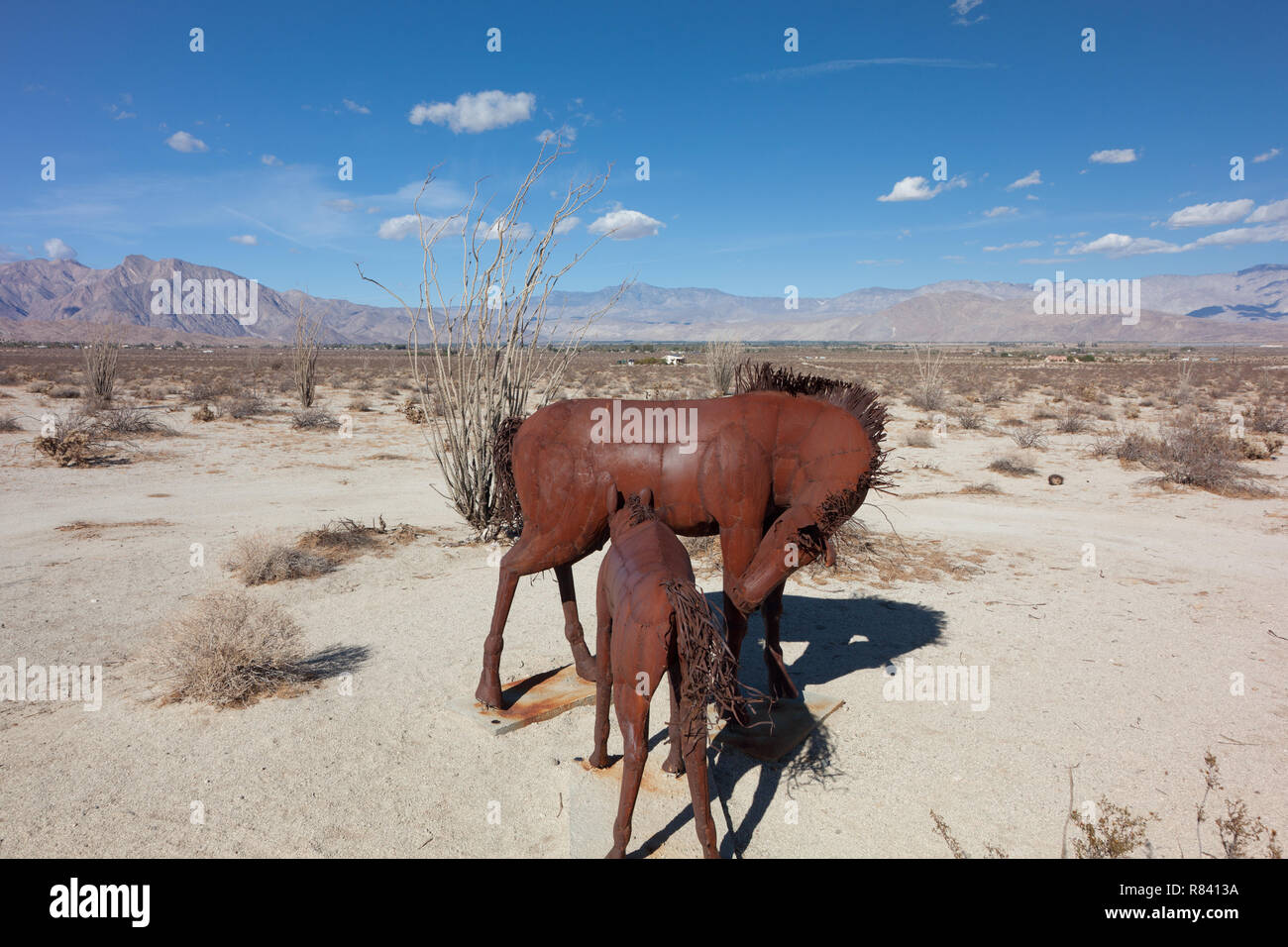 Cavallo di metallo sculture di Ricardo Breceda in prati Galleta in Borrego Springs, CA Foto Stock