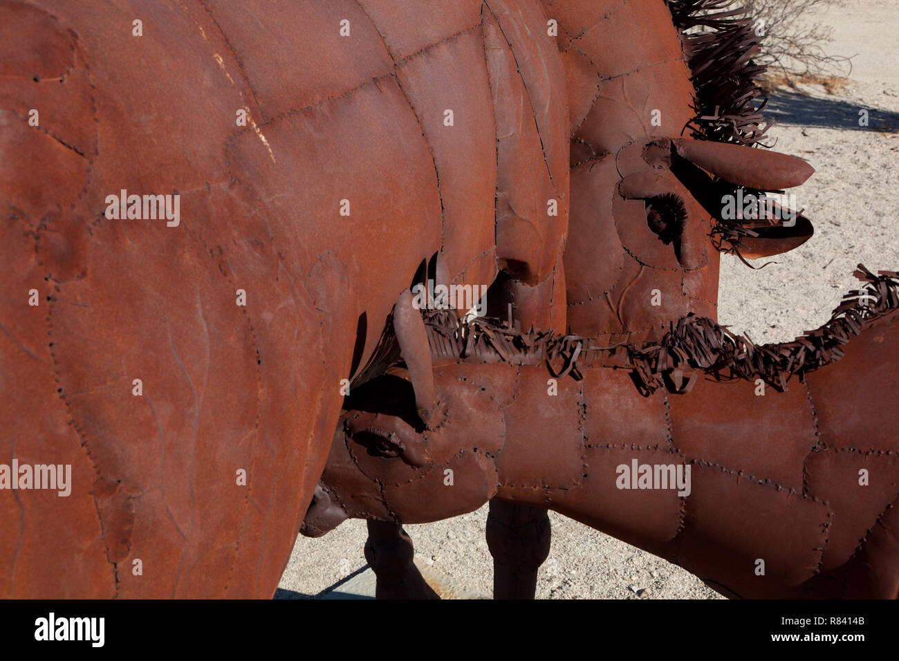 Cavallo di metallo sculture di Ricardo Breceda in prati Galleta in Borrego Springs, CA Foto Stock