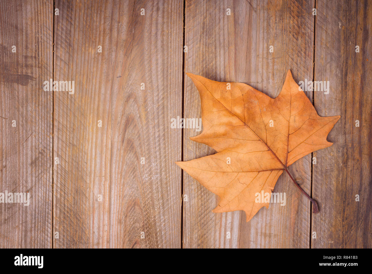 Foglie di autunno su sfondo di legno.Con copia spazio . Foto Stock