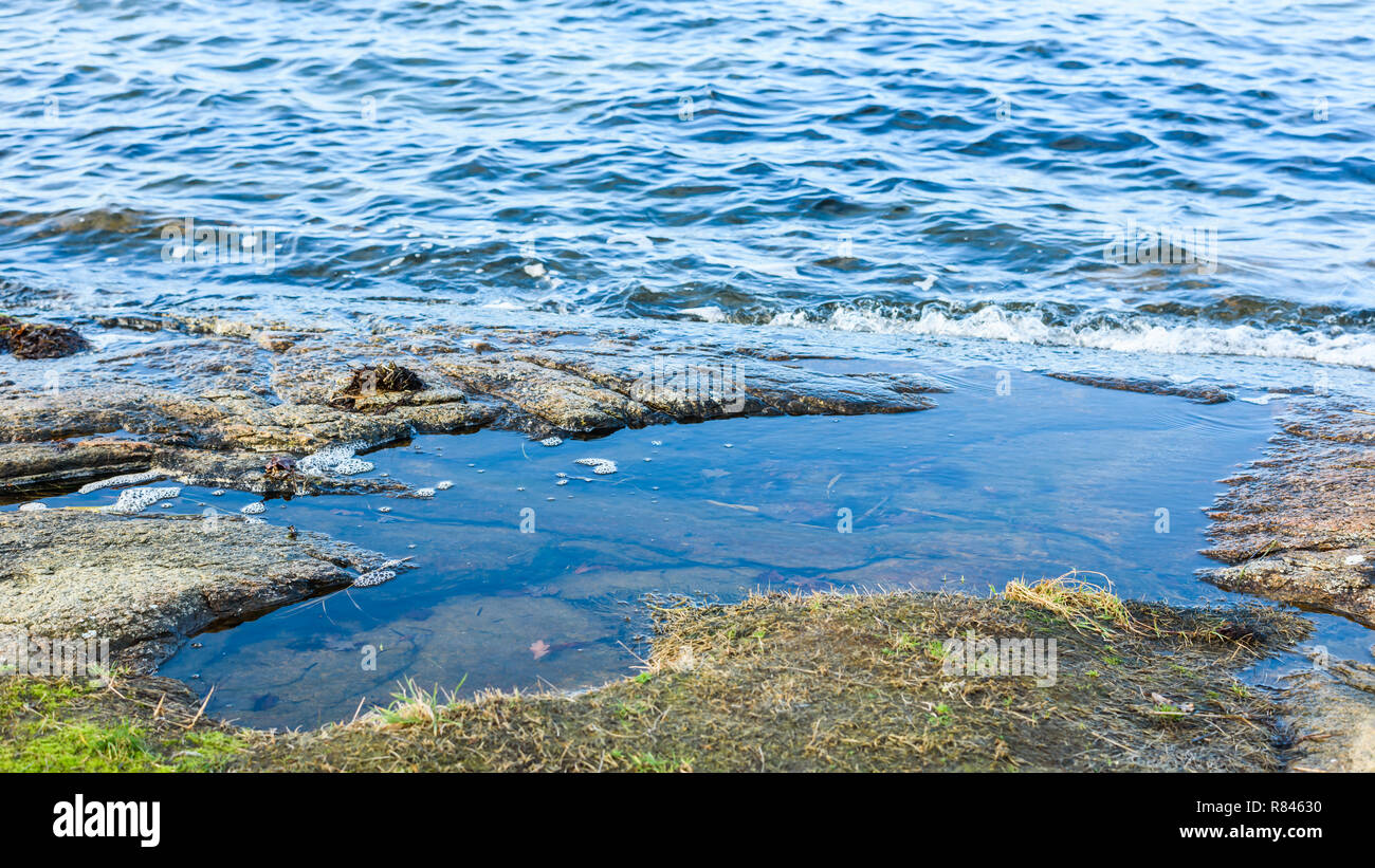 Piccola e poco profonda rock pool in costa rocciosa. Foto Stock