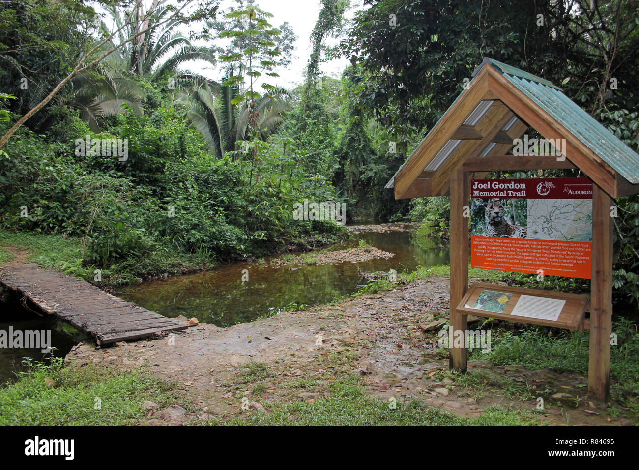 Joel Gordon Memorial Trail, cresta di gallo Basin Wildlife Sanctuary, Belize Foto Stock