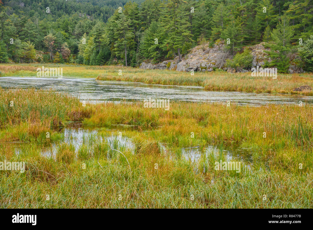 La Cloche Silhouette Trail, Killarney Provincial Park, Ontario, Canada Foto Stock