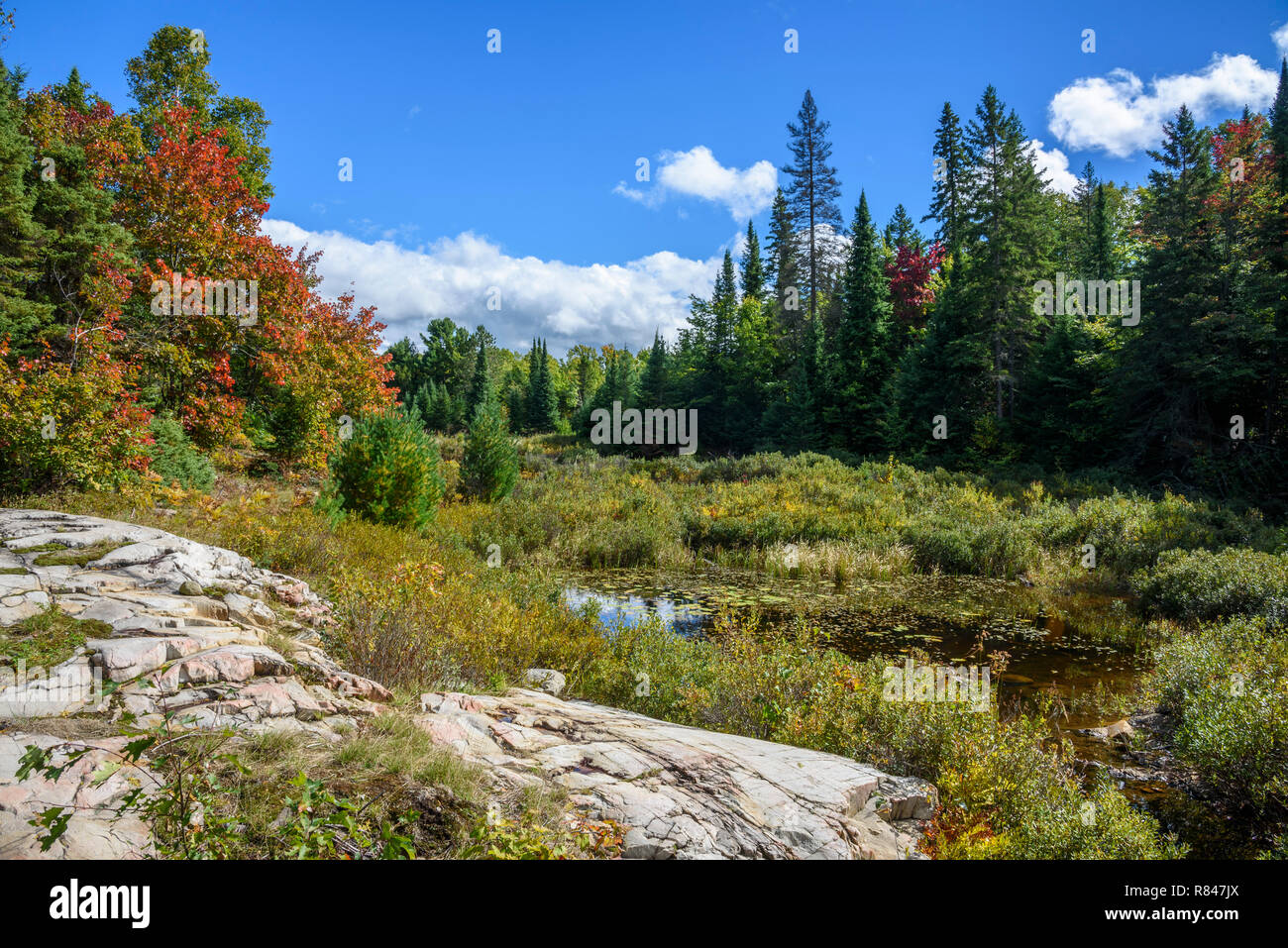 La Cloche Silhouette Trail, Killarney Provincial Park, Ontario, Canada Foto Stock