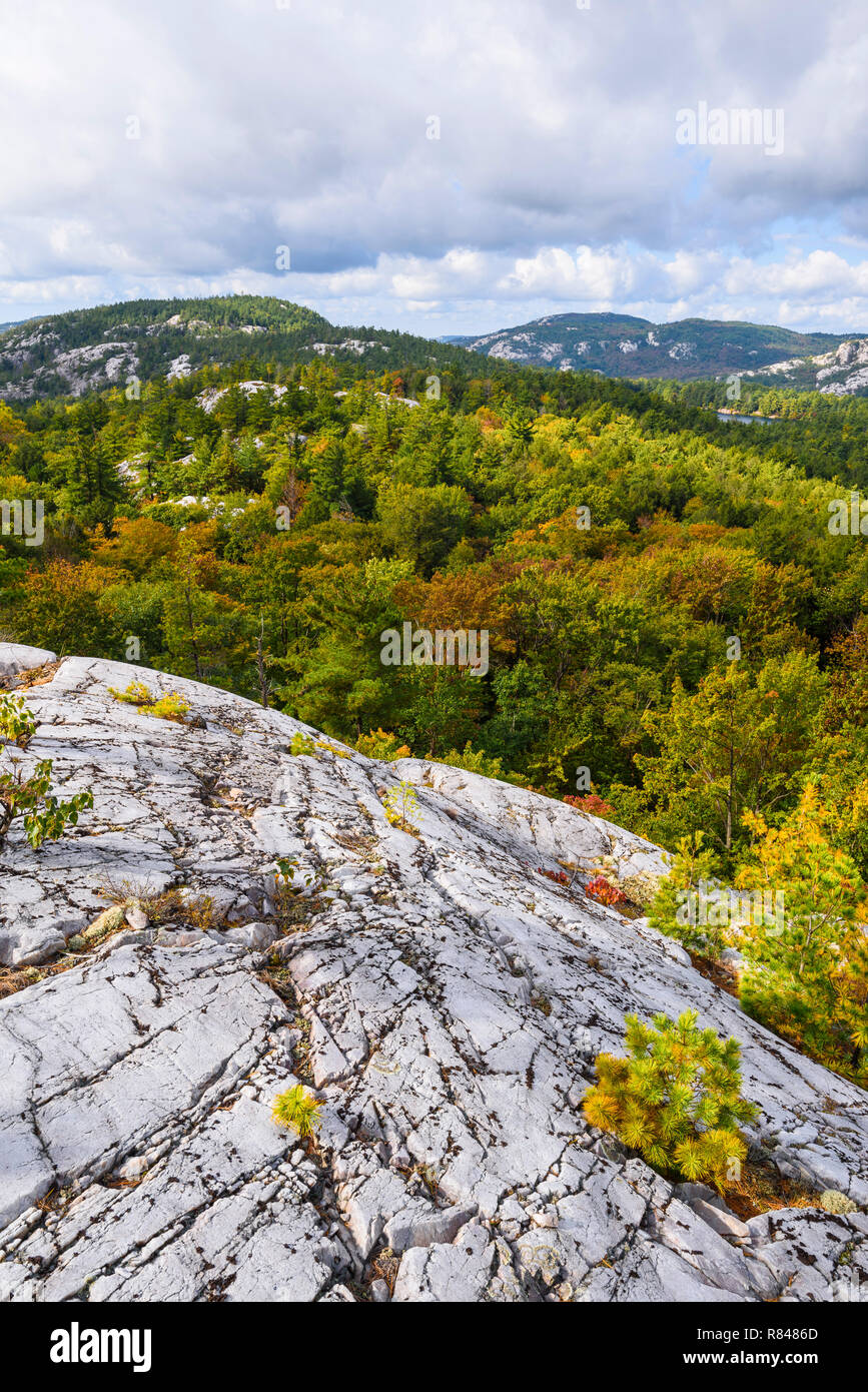 Bianco affioramenti di quarzite, La Cloche Silhouette Trail, Killarney Provincial Park, Ontario, Canada Foto Stock