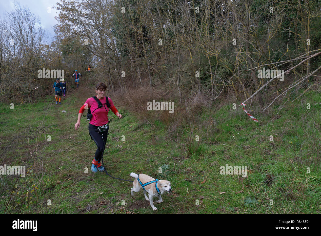 Anguillara Sabazia (Roma), Italia - 09 dicembre 2018: atleti competere nel "Trail dei due laghi' piedi in corsa a 20 km di corso e una goccia di 480 mete Foto Stock
