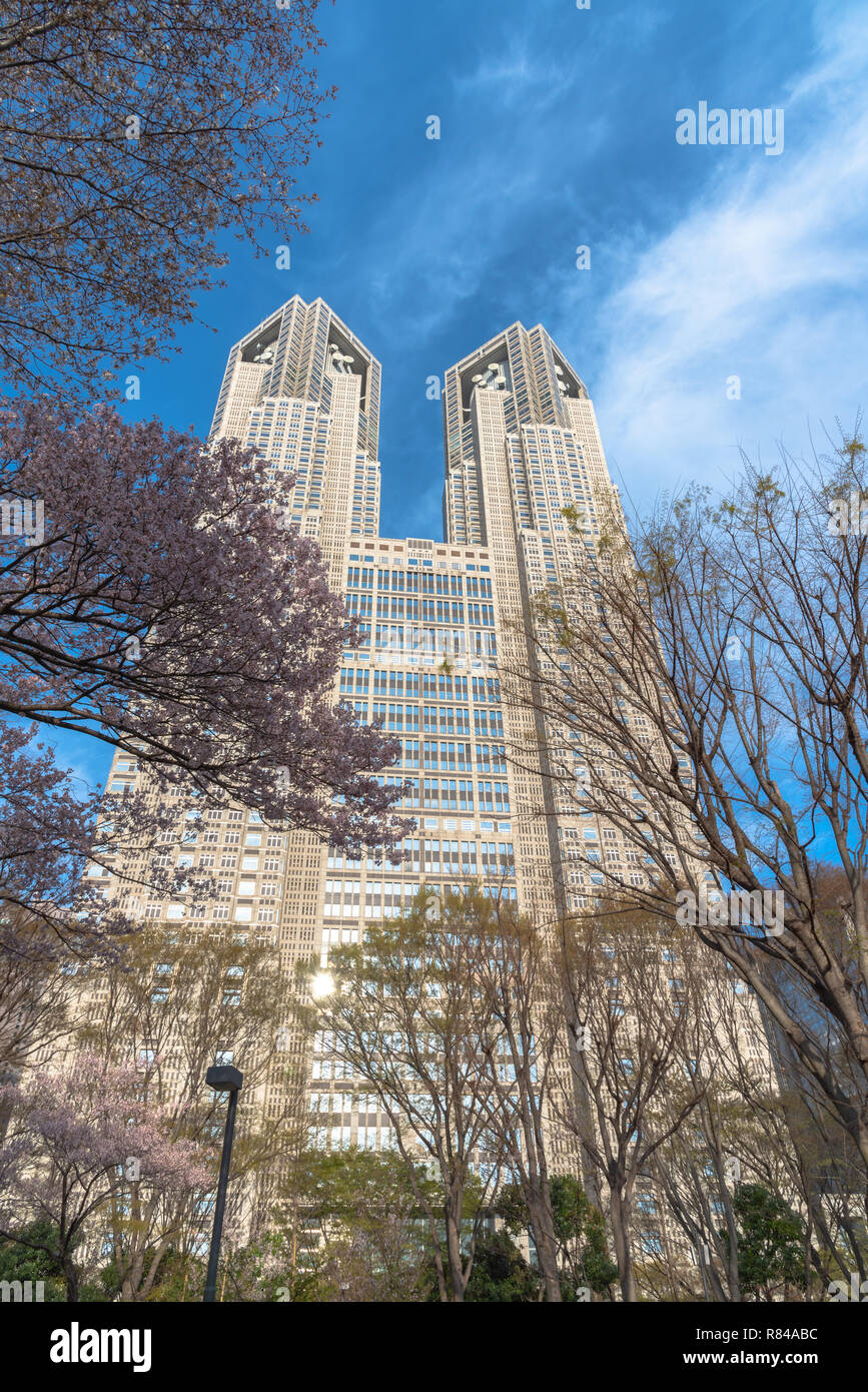 Fioritura di ciliegio a Tokyo Metropolitan Government & business di Shinjuku edifici monumentali Foto Stock