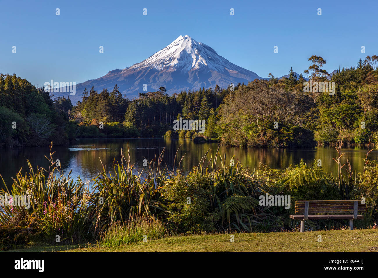 Mount Taranaki, New Plymouth, Isola del nord, Nuova Zelanda Foto Stock