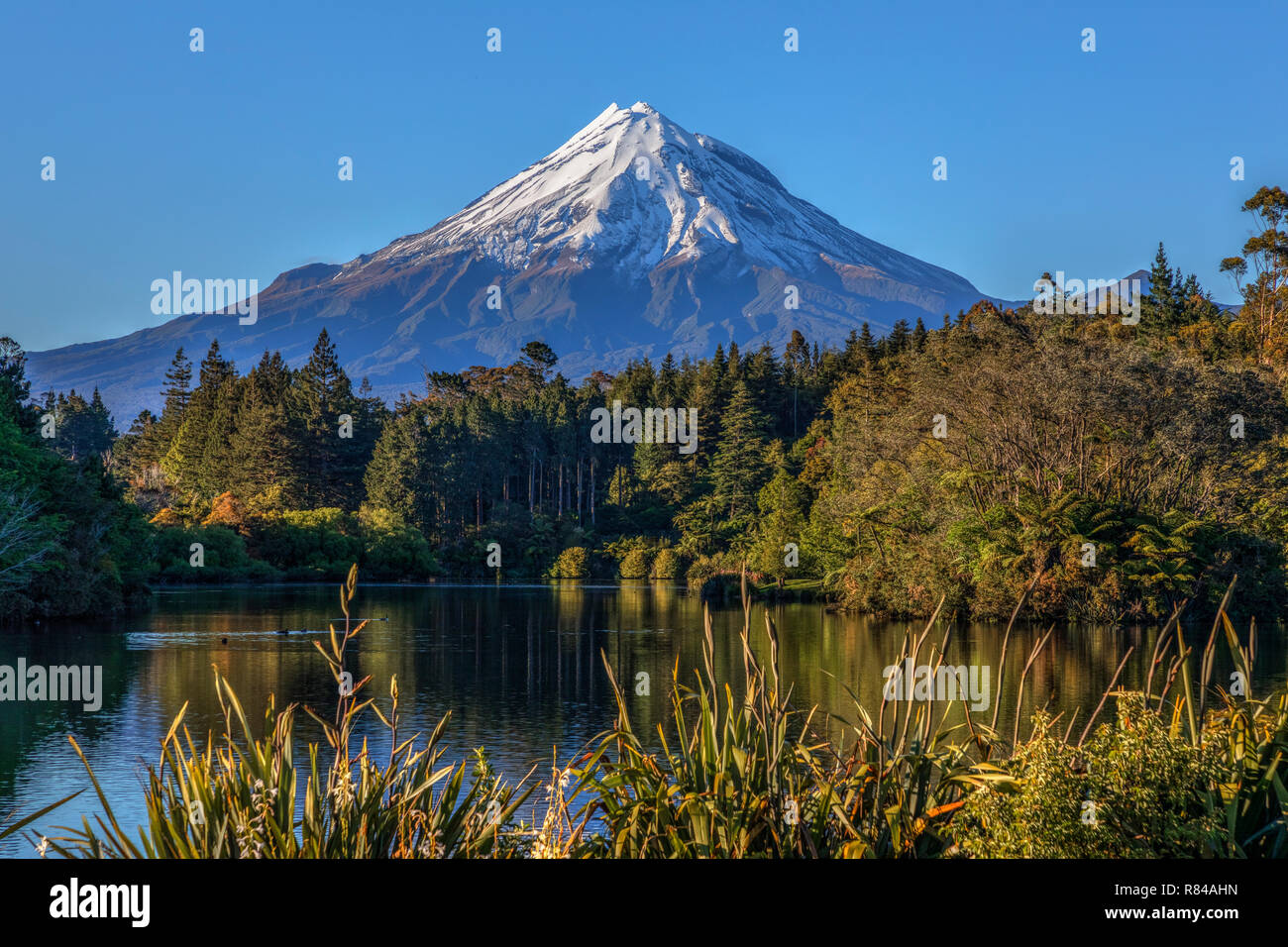 Mount Taranaki, New Plymouth, Isola del nord, Nuova Zelanda Foto Stock