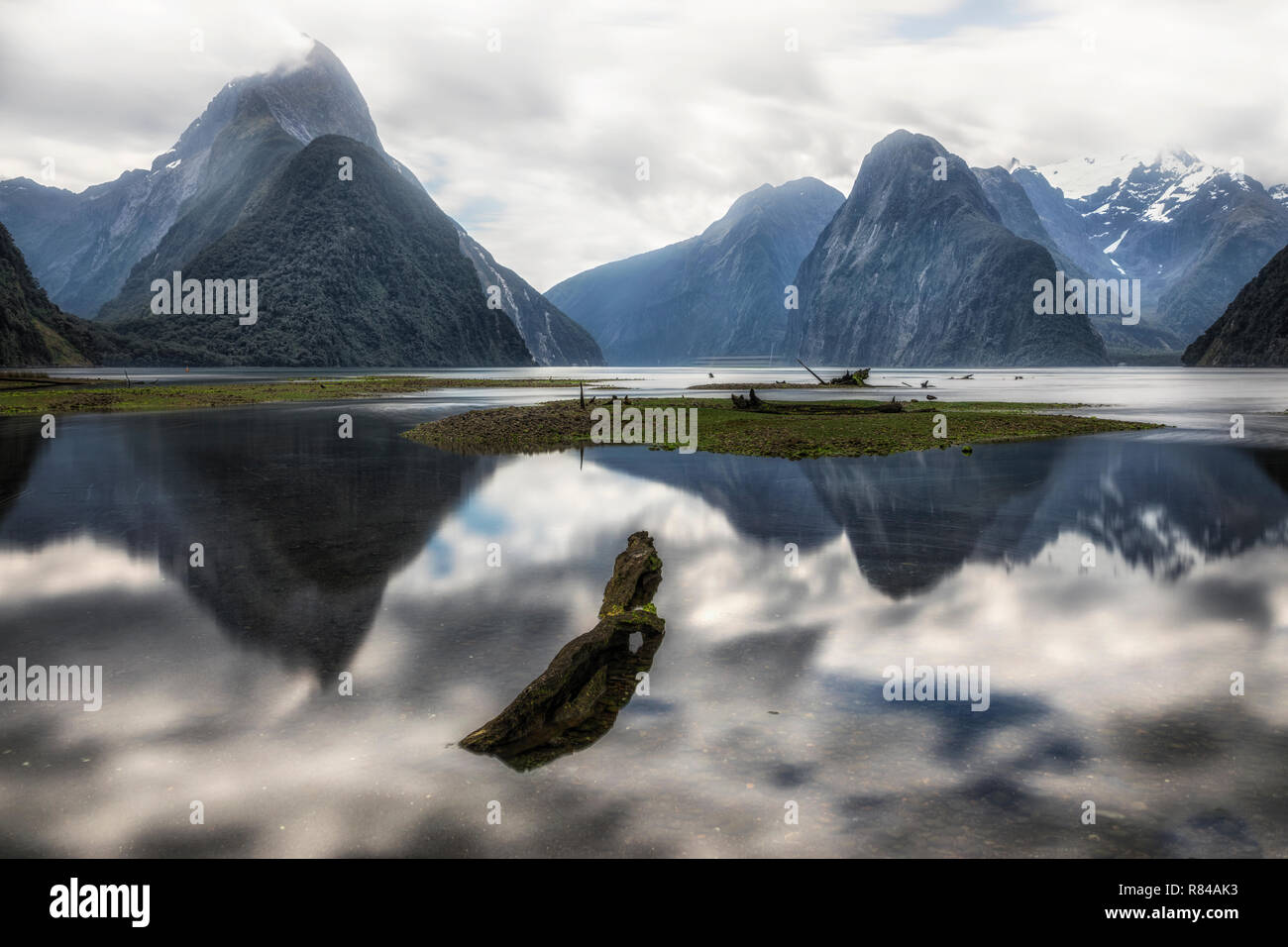 Milford Sound, Isola del Sud, Fiordland, Nuova Zelanda Foto Stock