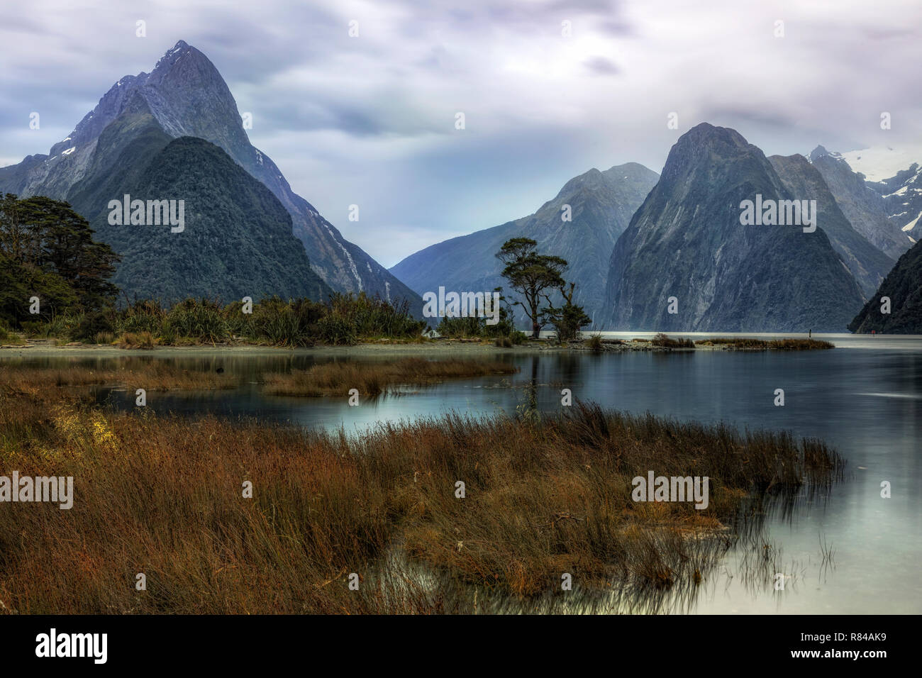 Milford Sound, Isola del Sud, Fiordland, Nuova Zelanda Foto Stock