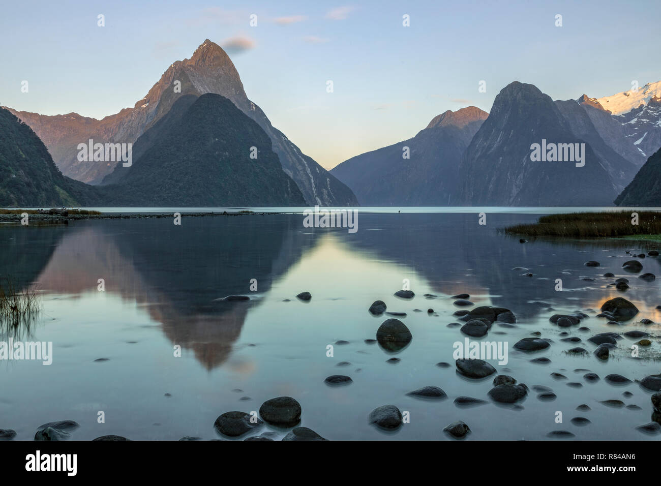 Milford Sound, Isola del Sud, Fiordland, Nuova Zelanda Foto Stock