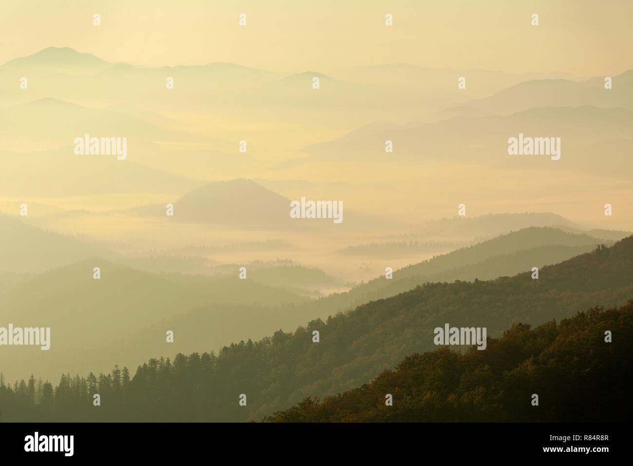 Dawn su di loro montagne con la nebbia e gli strati delle colline nel Parco Nazionale di Risnjak, Croazia Foto Stock