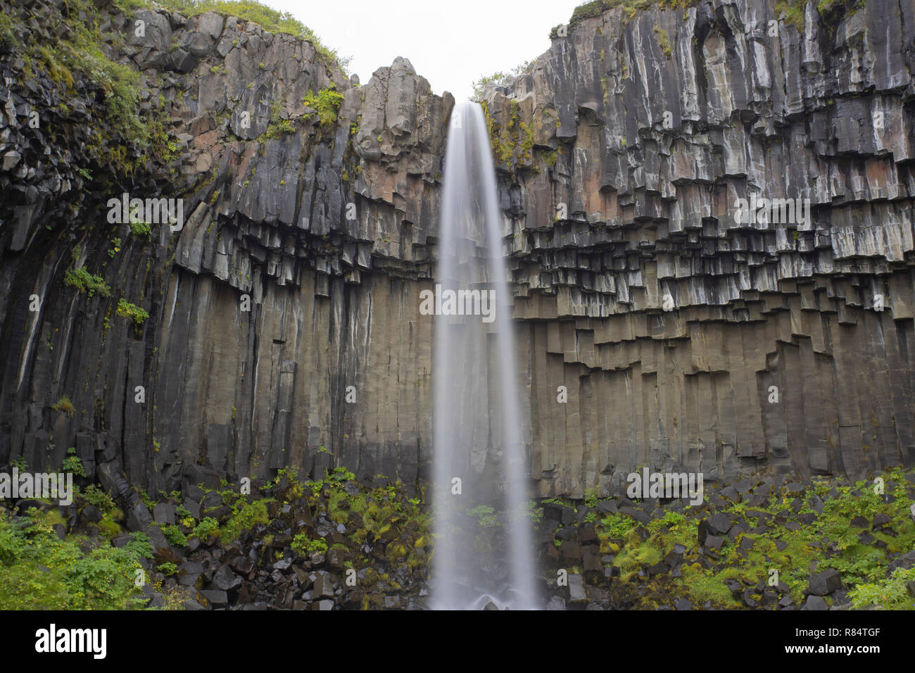 Svartifoss cascata e colonne di basalto, Islanda Foto Stock