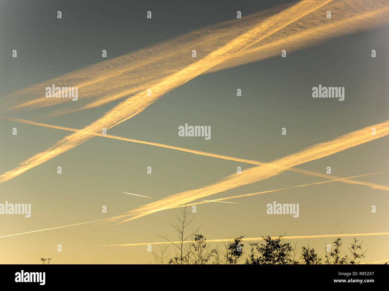 Aeromobile sentieri di vapore (contrails) che forma dopo il passaggio di un alto piano di volo.queste sono state prese a sunrise dal mio giardino nel sud-ovest della Francia. Foto Stock