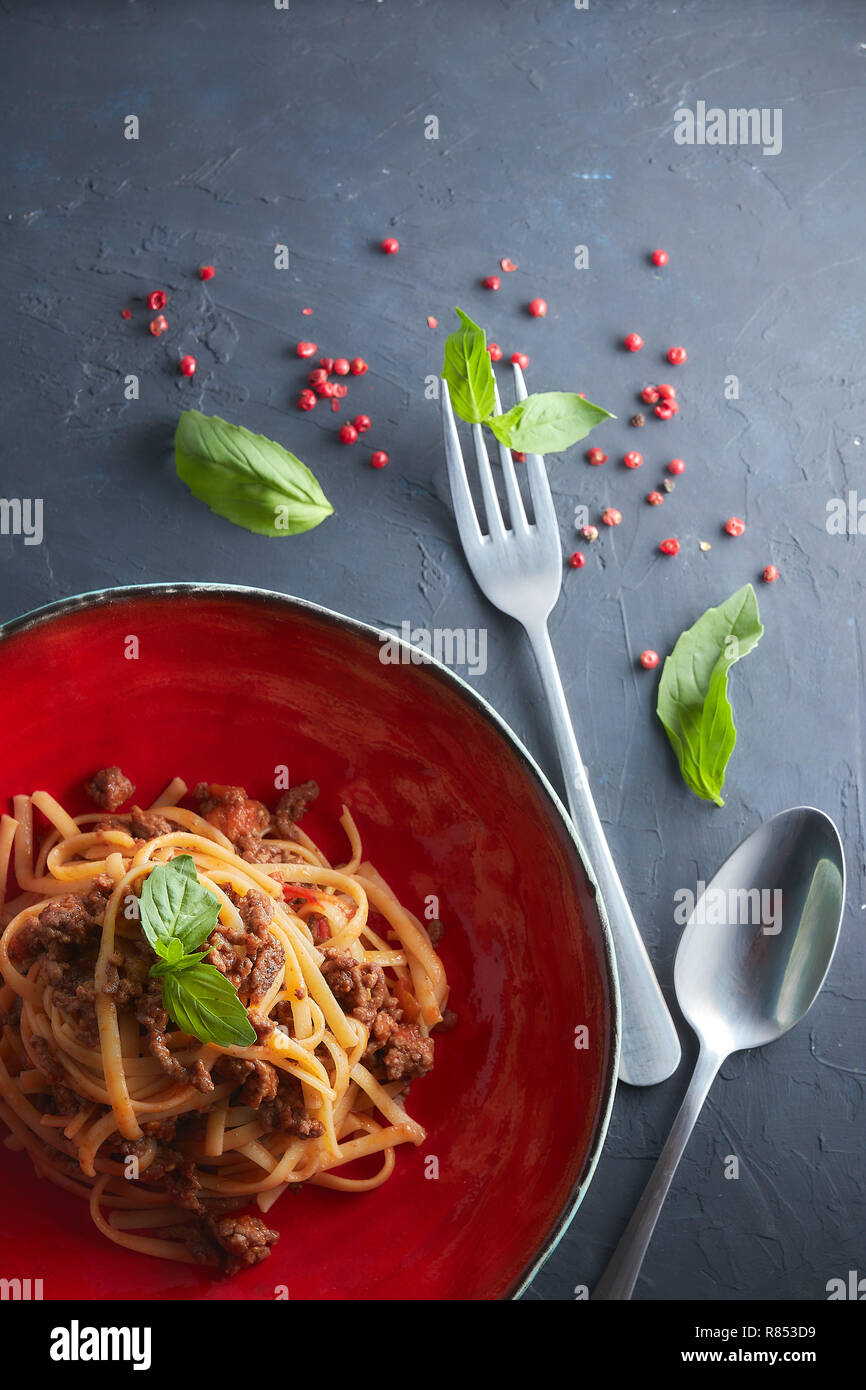 La pasta italiana La cucina bolognese. Vista da sopra. Cucina casalinga Italiana. Foto Stock