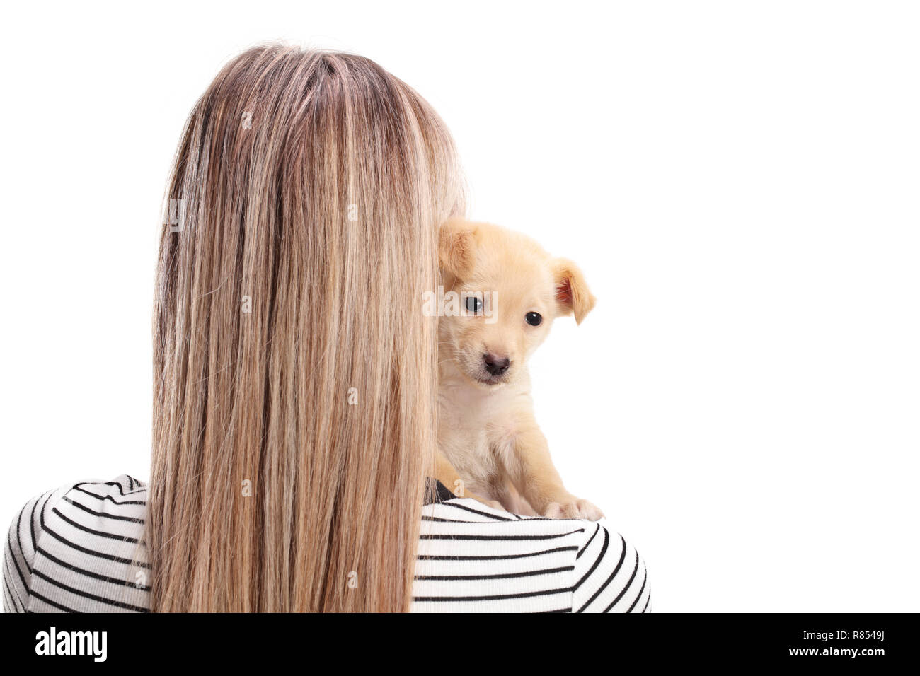 Studio shot di una femmina da dietro abbracciando un cucciolo sulla sua spalla isolati su sfondo bianco Foto Stock