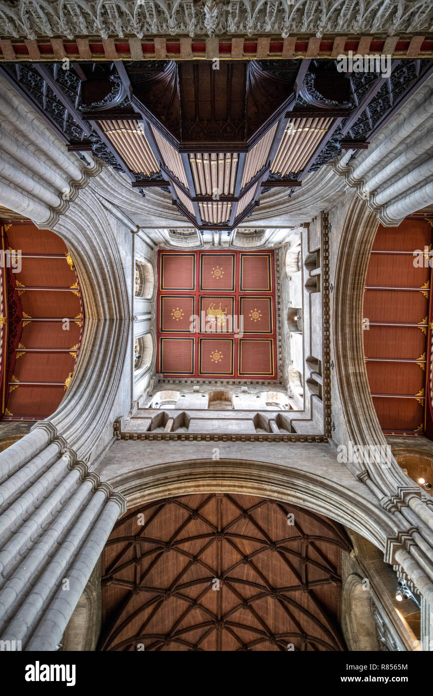 L Agnello di Dio è presentato su simmetrici di soffitto della cattedrale di Ripon, nello Yorkshire, Regno Unito Foto Stock