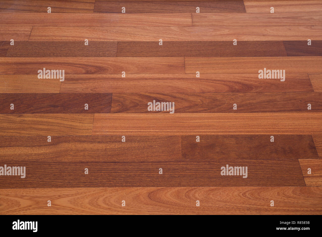 Pavimento laminato, pannelli in pvc come sfondo texture pulire nuovo design Foto Stock