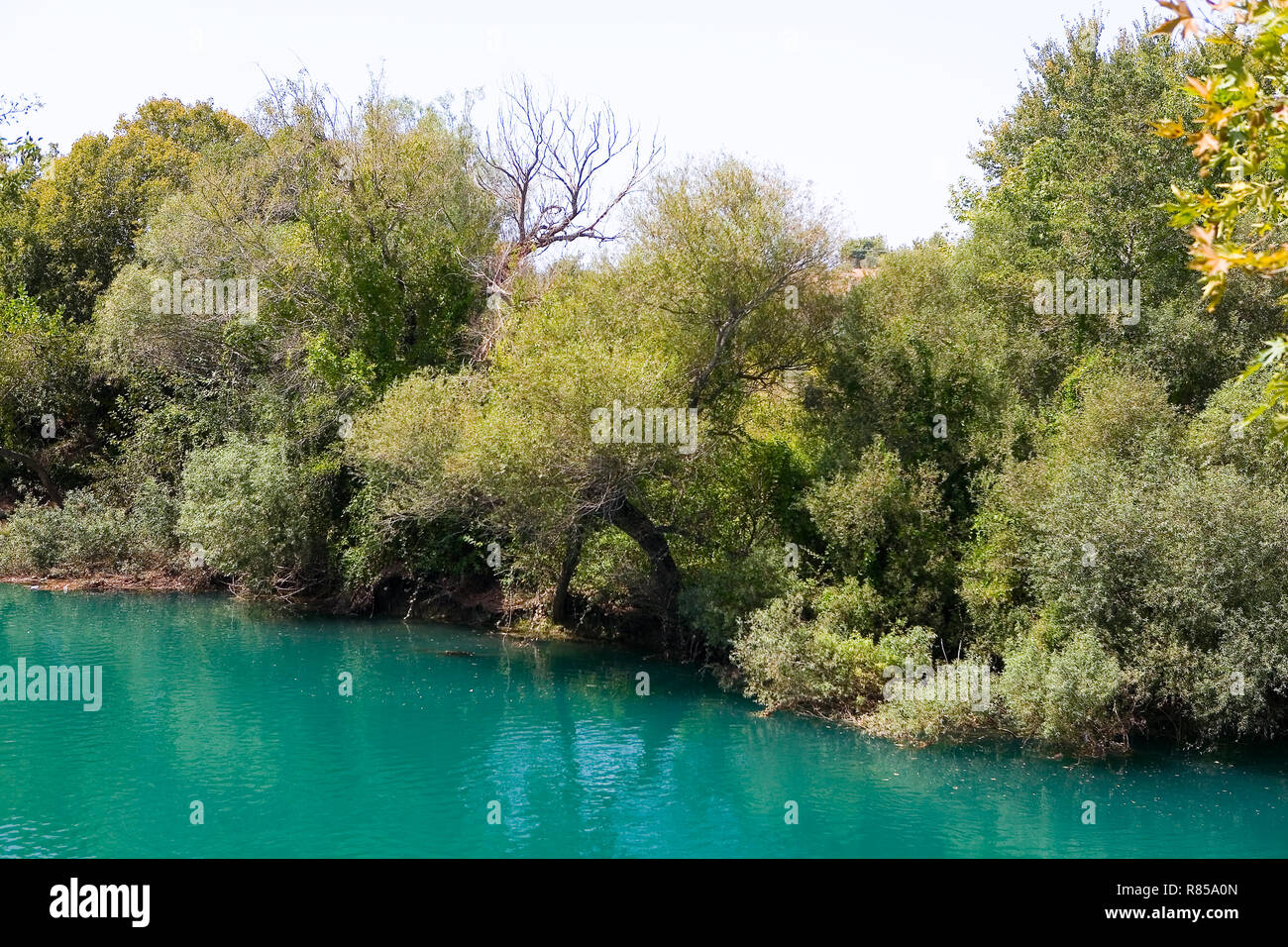 La superficie dell'acqua è di un bel colore insolito. La Turchia. Foto Stock