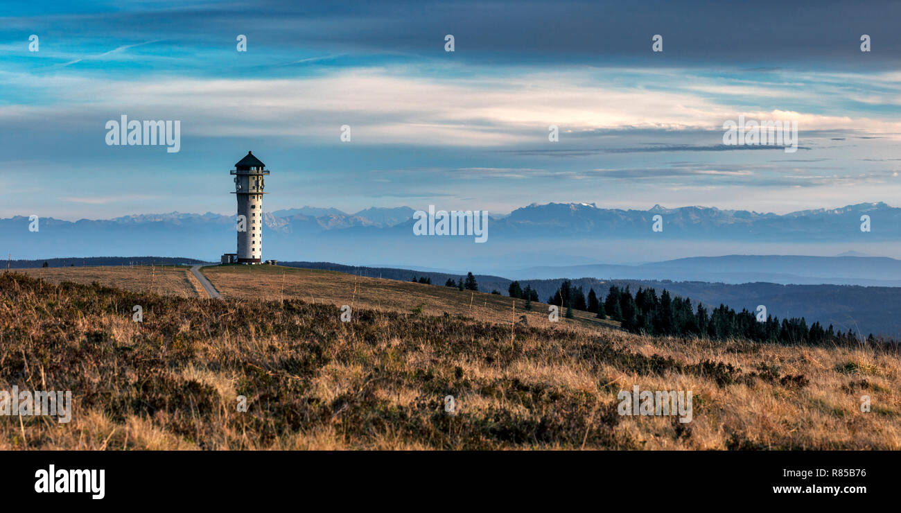 Vista monte Feldberg nella Foresta Nera fino alle alpi svizzere Foto Stock