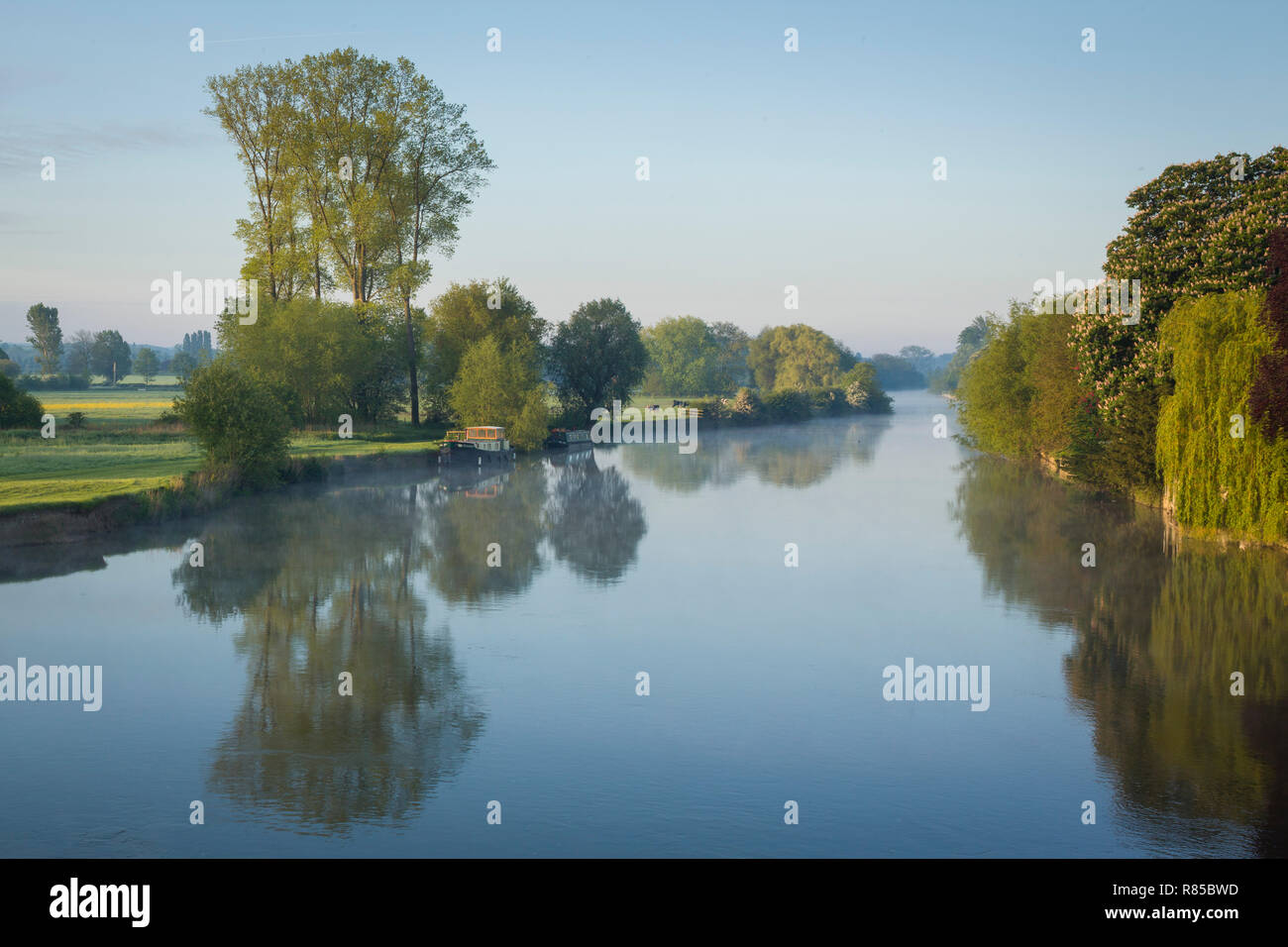 La nebbia sorge intorno alle barche ormeggiate sul Fiume Tamigi a Wallingford all'alba, dal ponte a Wallingford Foto Stock