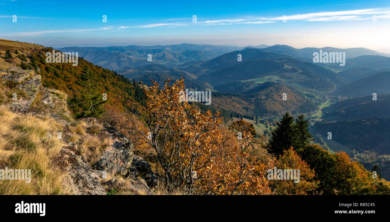 Vista dalla Belchen nella Foresta Nera, Germania Foto Stock