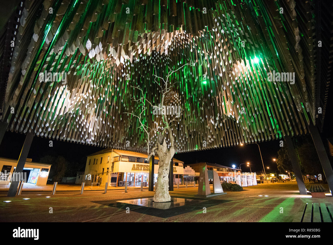 L'albero della vita a Barcaldine, Queensland Foto Stock