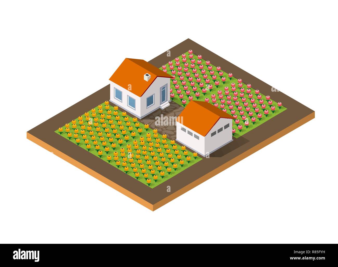 Isometrica rustico rurale fattoria con fiori e i letti con una piccola casa di villaggio ecologico naturale infrastruttura di paesaggi Illustrazione Vettoriale