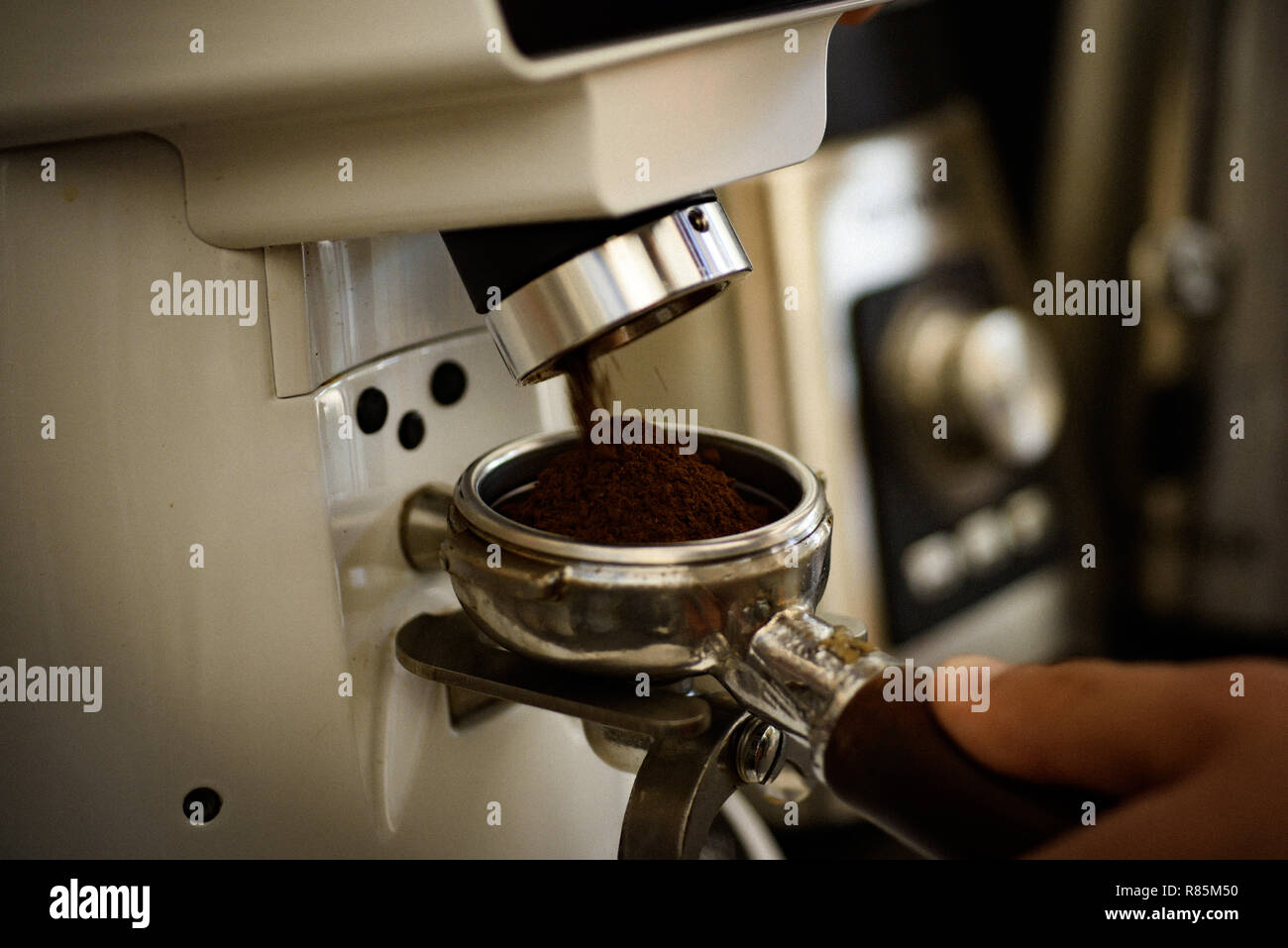 Professional meccanismo di macinazione. Barista macinare i chicchi di caffè  utilizzando la macchina per il caffè. Macinino da caffè macinazione fagioli  arrosto in polvere. Caffè macinato fresco in portafilter. Barista fa  espresso