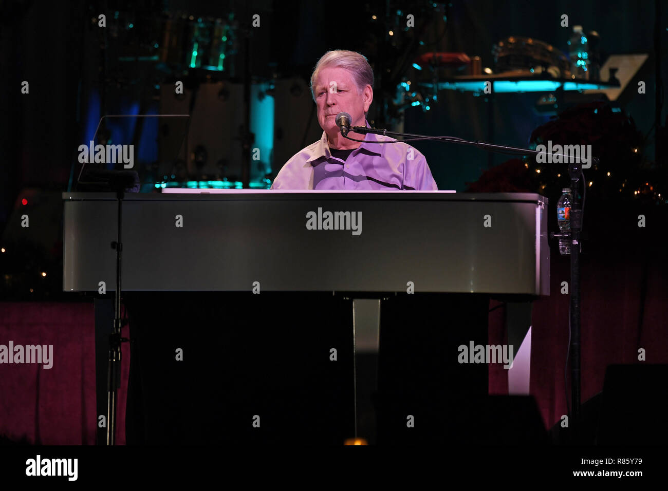 Hollywood FL, Stati Uniti d'America. 12 Dic, 2018. Brian Wilson e Al Jardine eseguire durante il Natale tour album all'Hard Rock Eventi Centro presso il Seminole Hard Rock Hotel & Casino su dicembre 12, 2018 in Hollywood Florida. Credito: Mpi04/media/punzone Alamy Live News Foto Stock