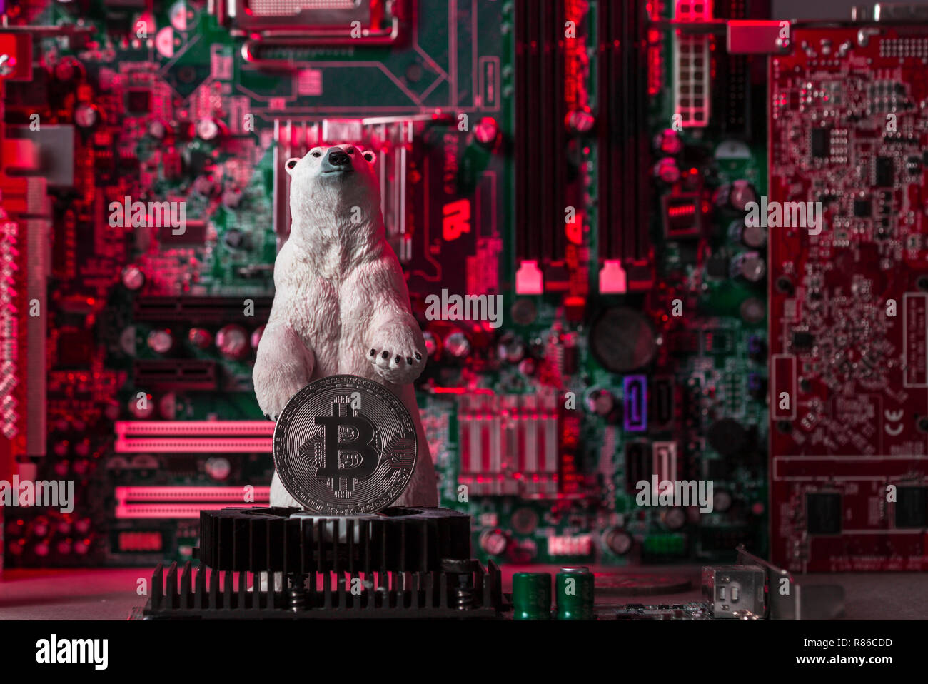 Bianco orso polare con argento Bitcoin su scheda grafica, concetto di crollo industria crypto Foto Stock