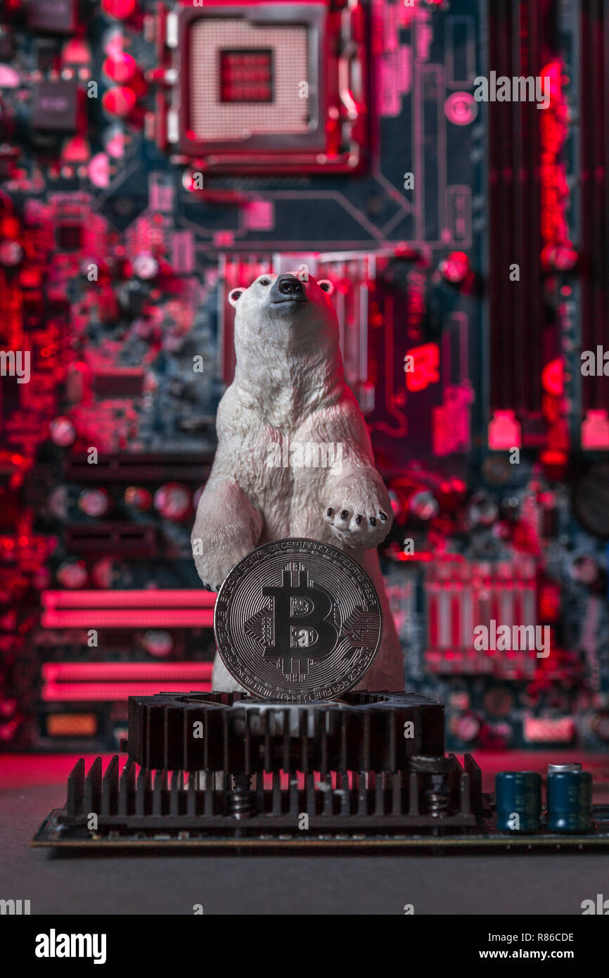Bianco orso polare con argento Bitcoin su scheda grafica, concetto di crollo industria crypto Foto Stock