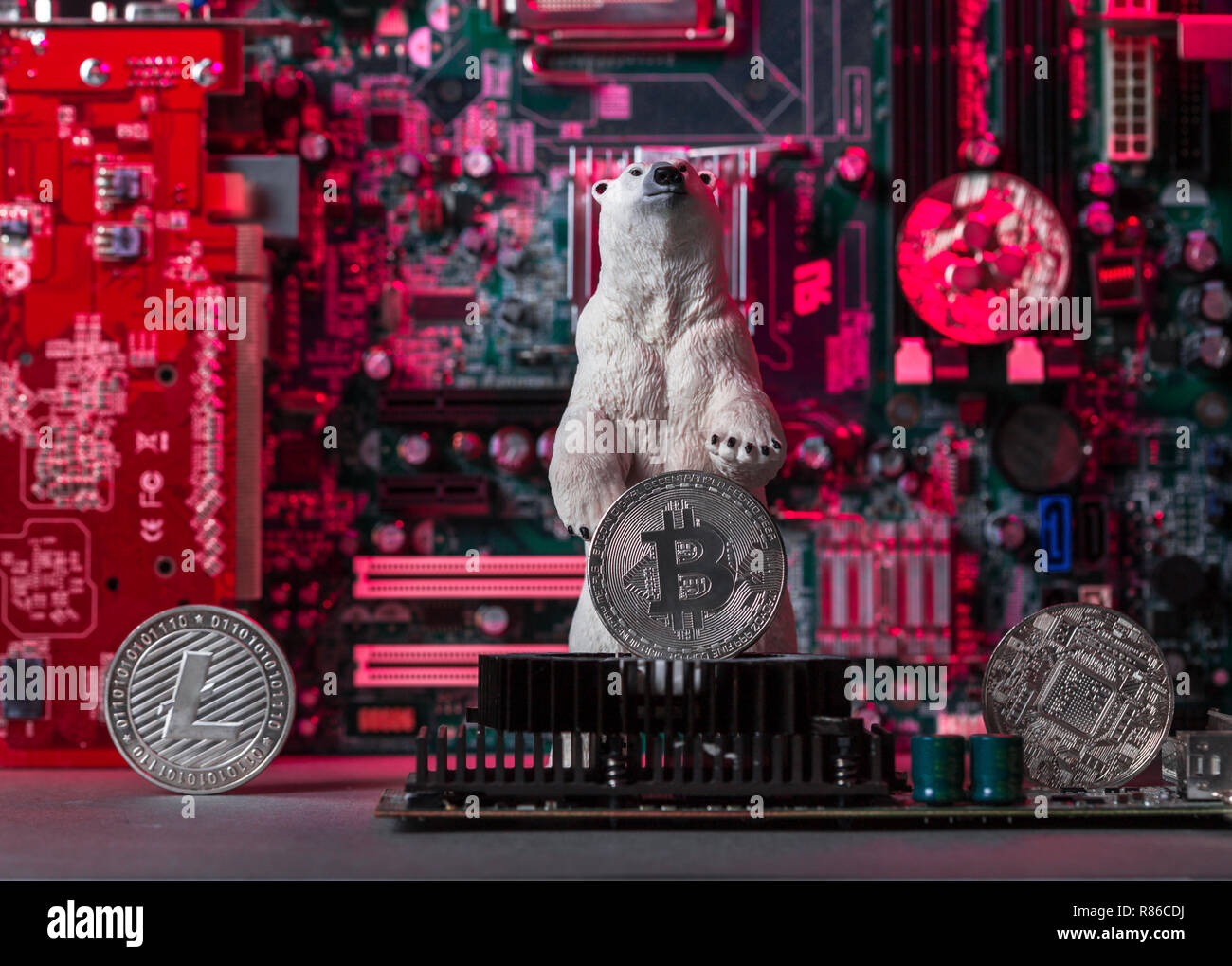 Bianco orso polare con varie monete crypto, concetto di crollo industria crypto Foto Stock
