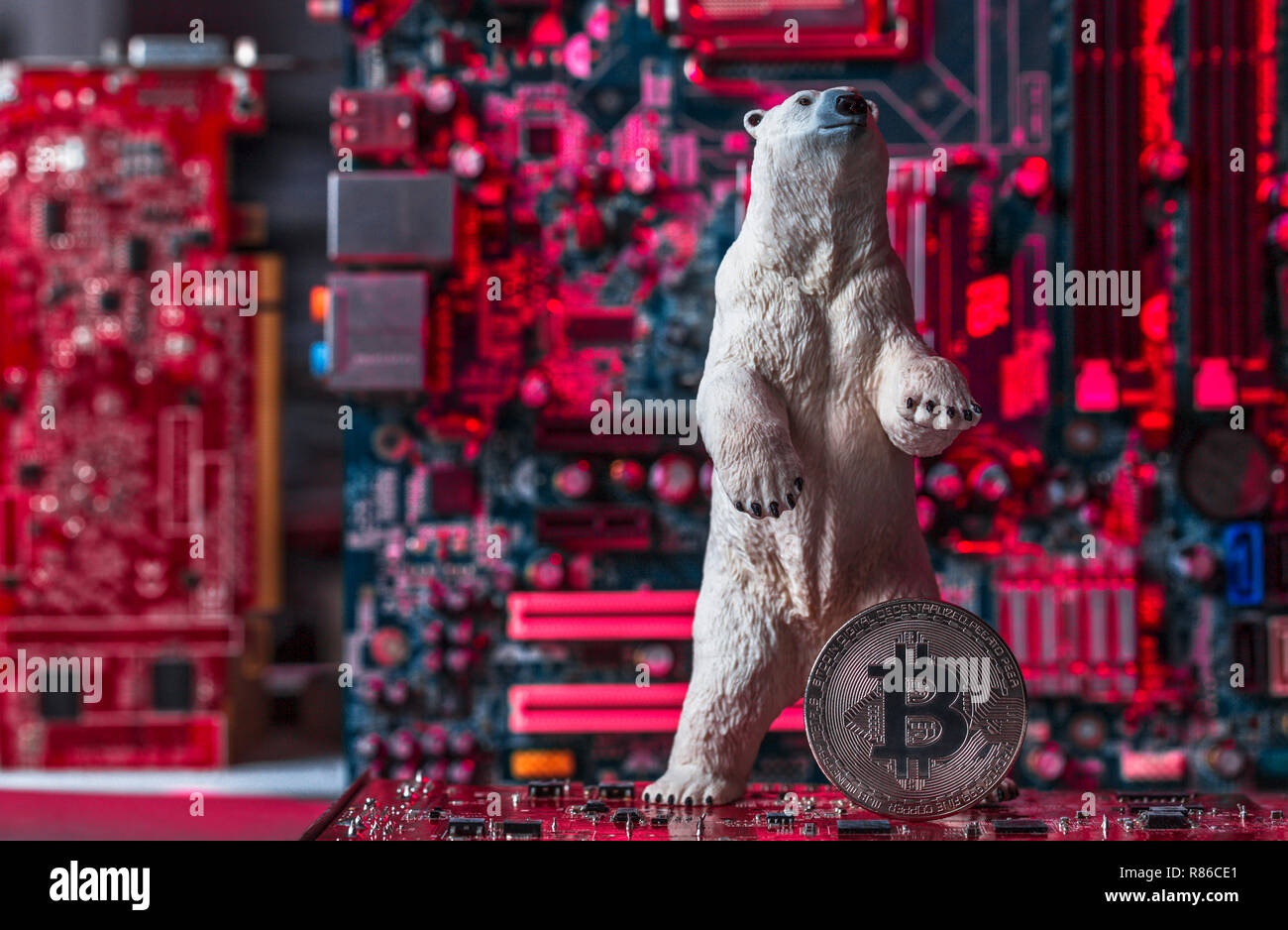 Bianco orso polare con argento Bitcoin, concetto di crollo industria crypto Foto Stock