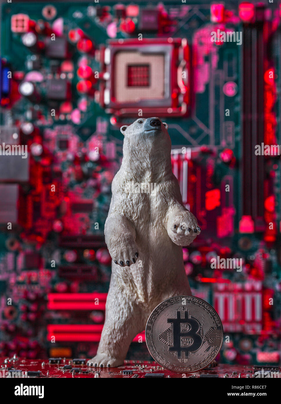 Bianco orso polare con argento Bitcoin, concetto di crollo industria crypto Foto Stock