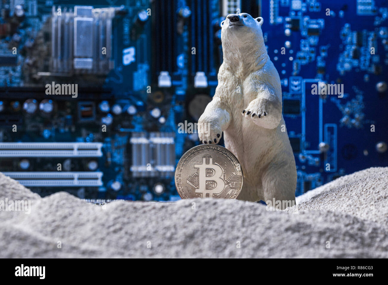 Bianco orso polare tenendo un argento Bitcoin in neve sul blu del circuito integrato come sfondo Inverno nucleare concept Foto Stock
