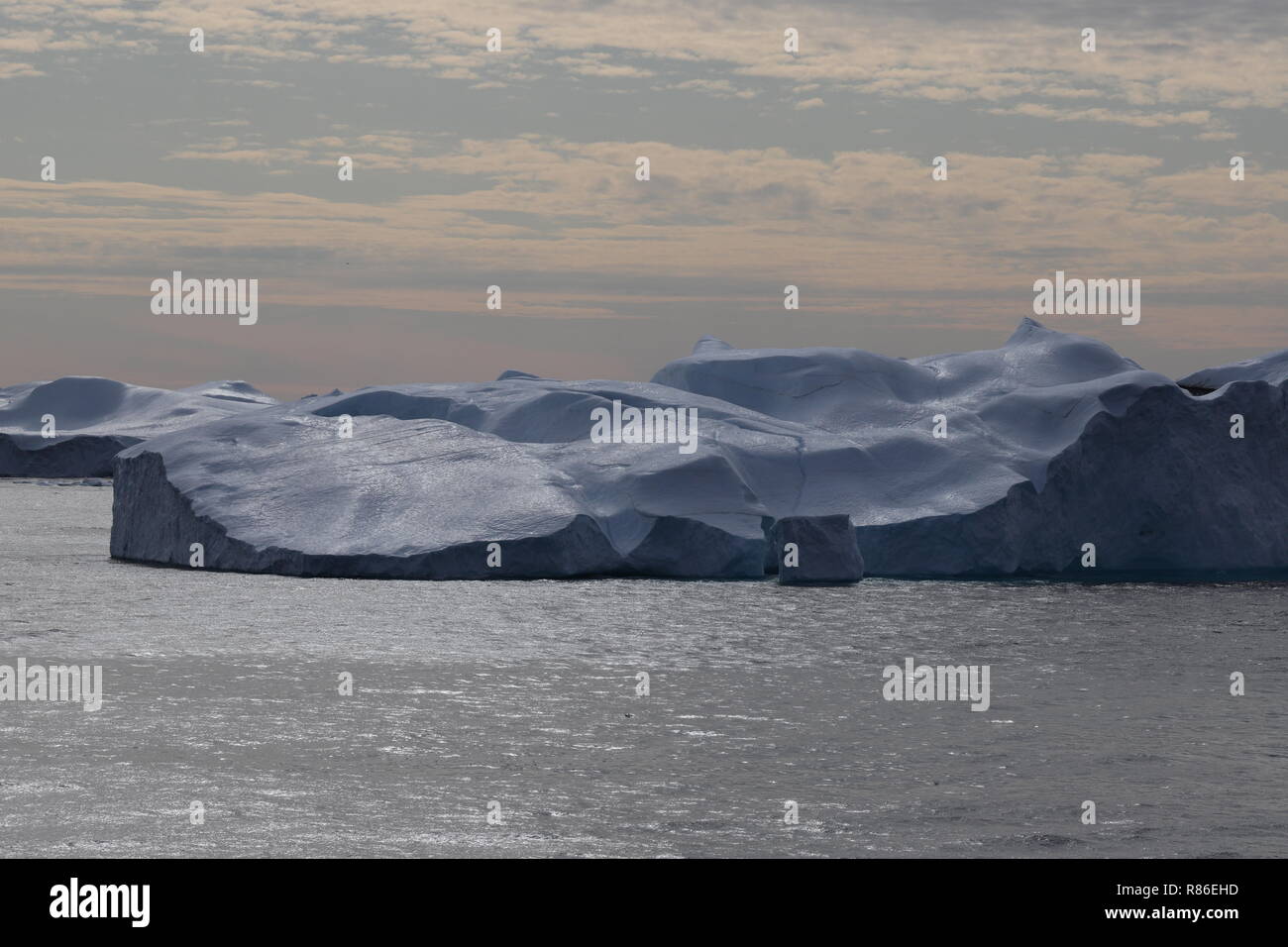 Grönland Disko Bucht: Landschaft mit Eisbergen Foto Stock