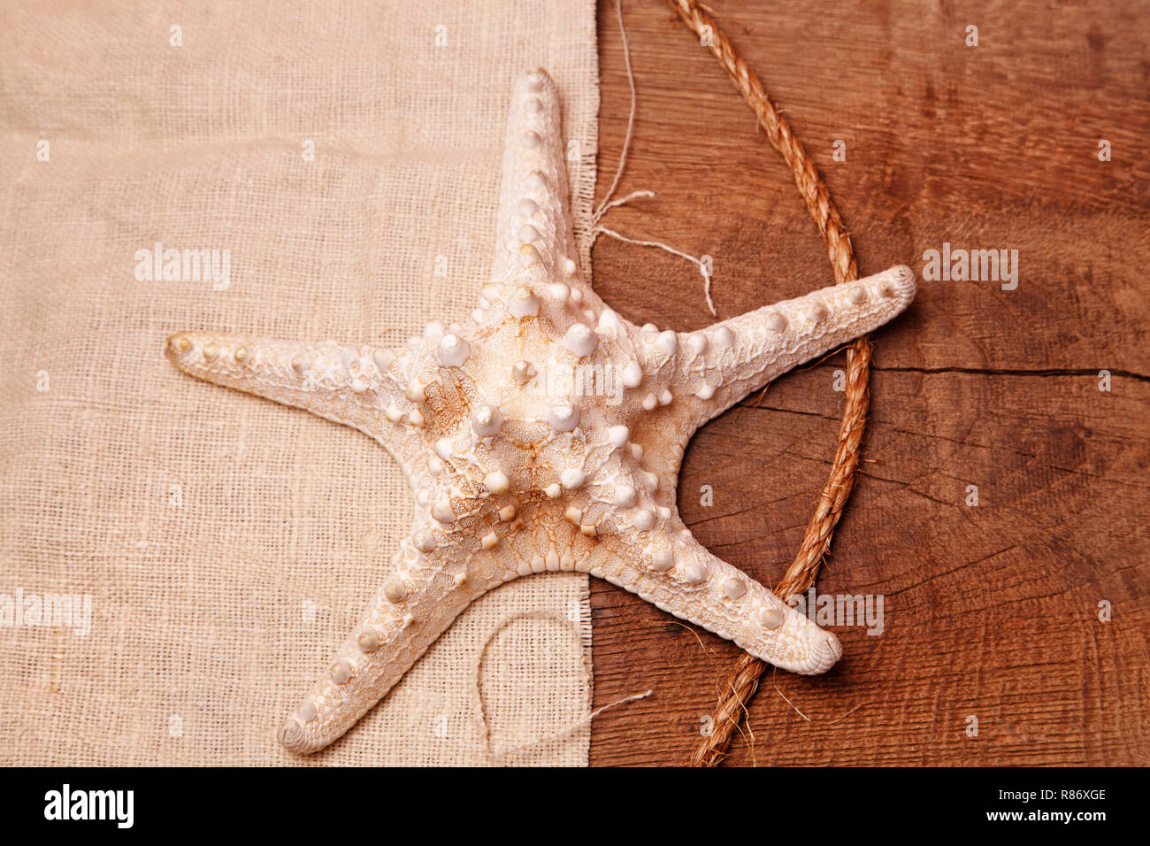 Starfish su uno sfondo di un tavolo in legno e saccheggi Foto Stock