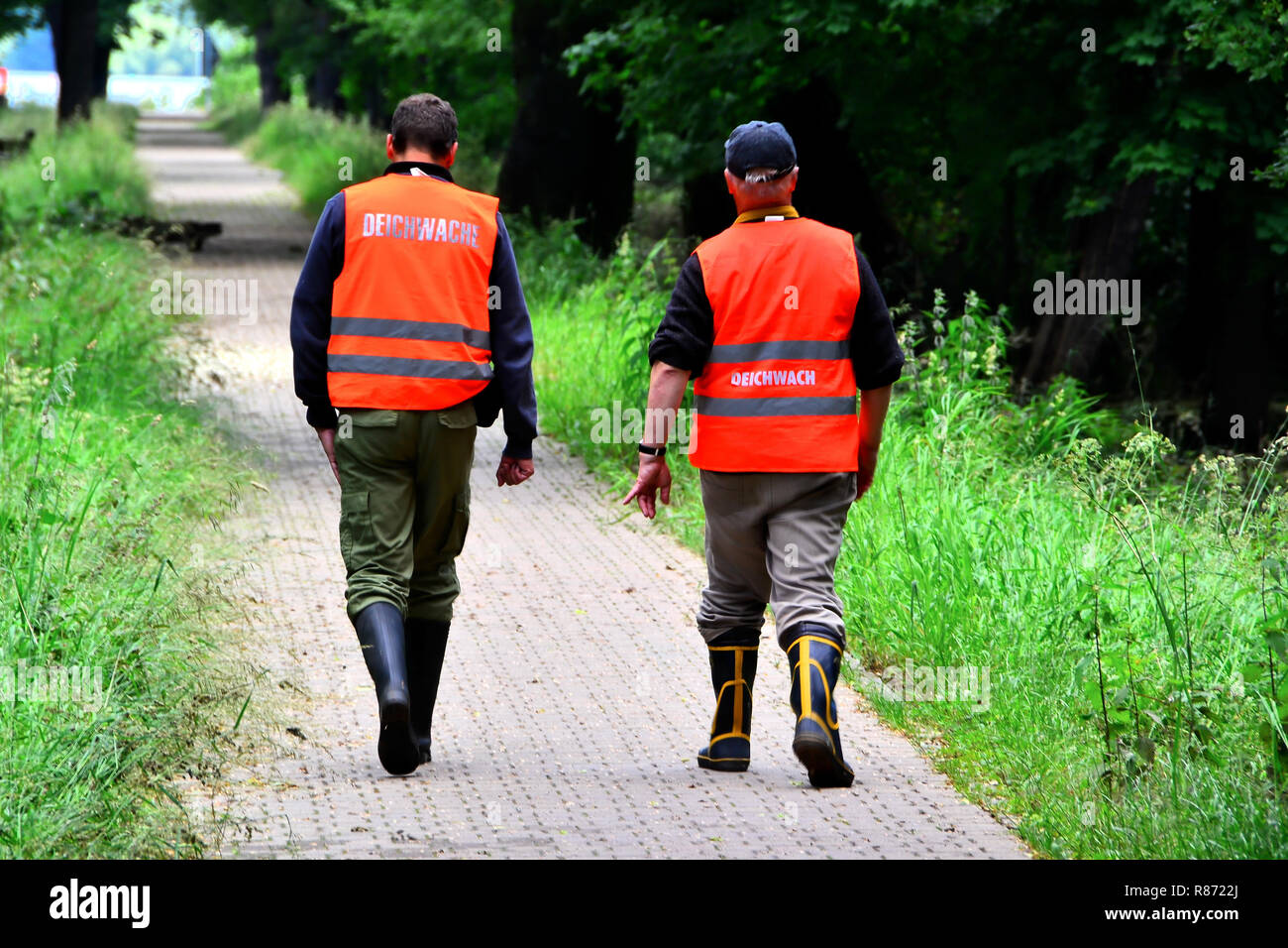 Controllo di inondazione assistant verifica di una diga durante l'alluvione in Magdeburg Foto Stock