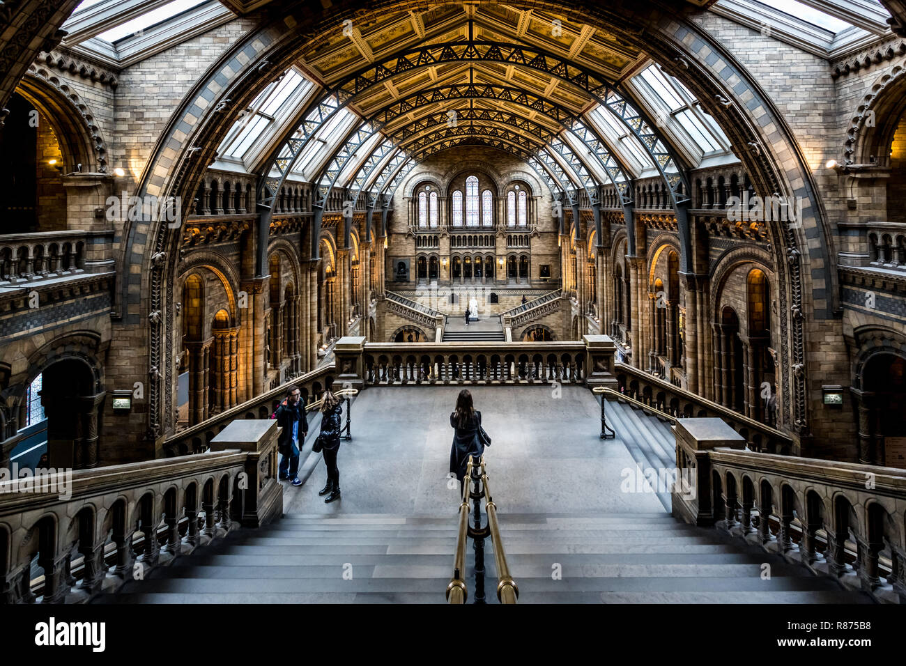 London Natural History Museum Foto Stock