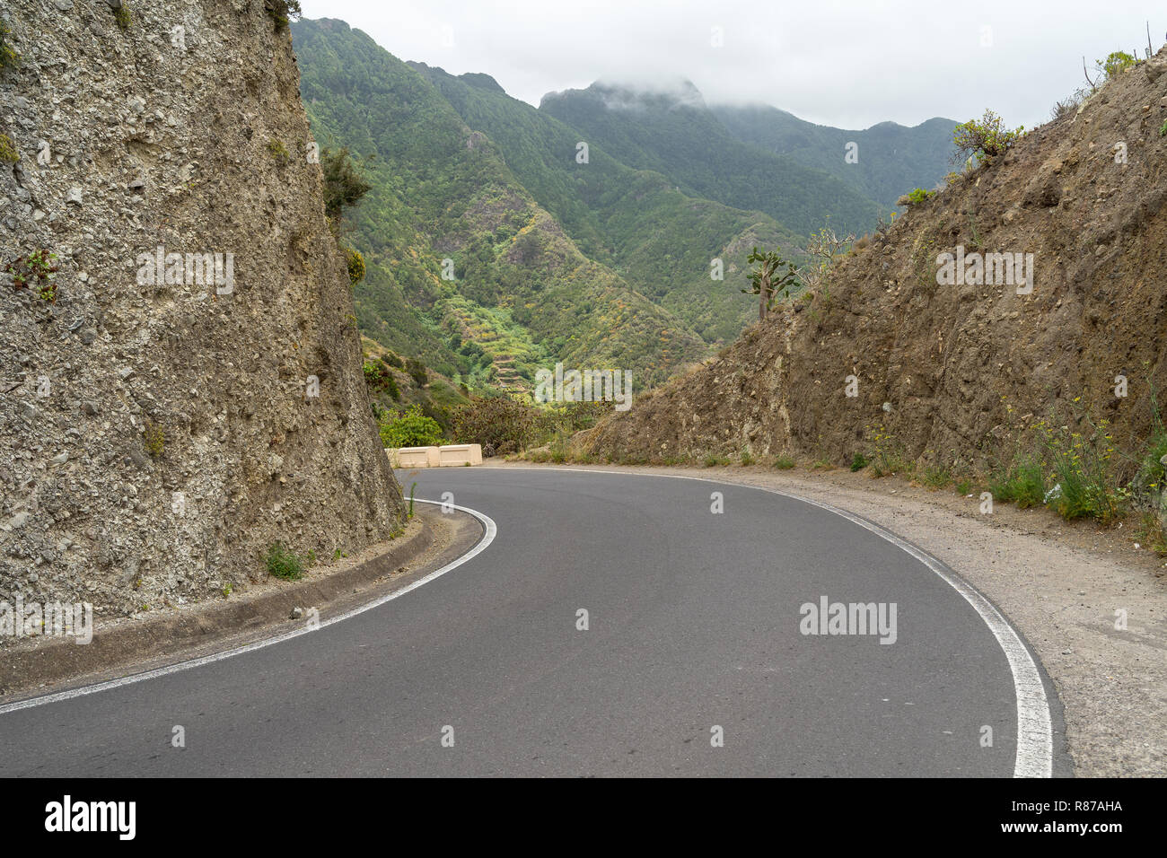 Strada (tornante) delle montagne della parte nord di Tenerife. Isole Canarie. Spagna. Foto Stock