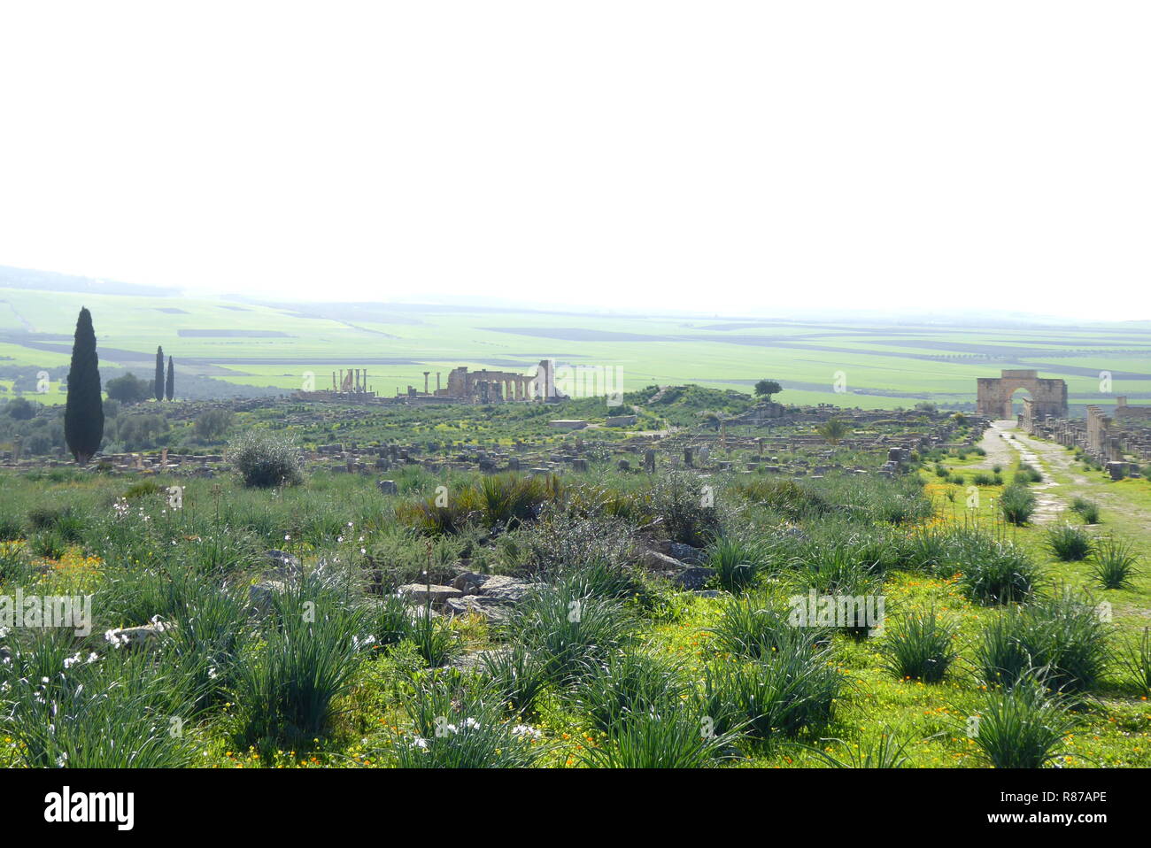 Le rovine romane di Volubilis ini il Nord del Marocco Foto Stock